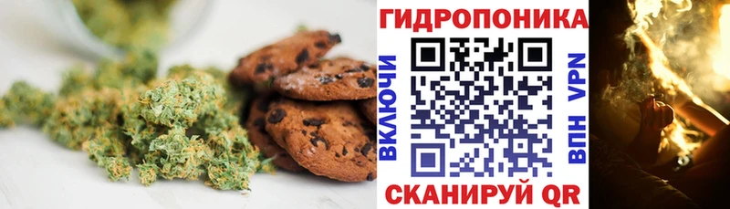 Купить закладки  Вытегра  Еда ТГК конопля 