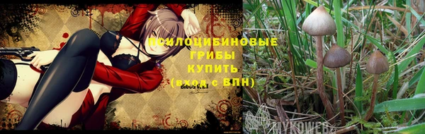 экстази Горняк