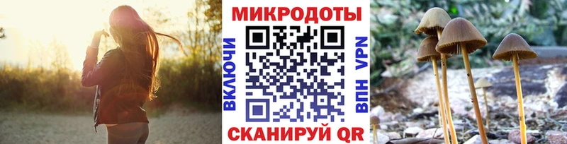 Купить Вытегра Псилоцибиновые грибы Magic Shrooms